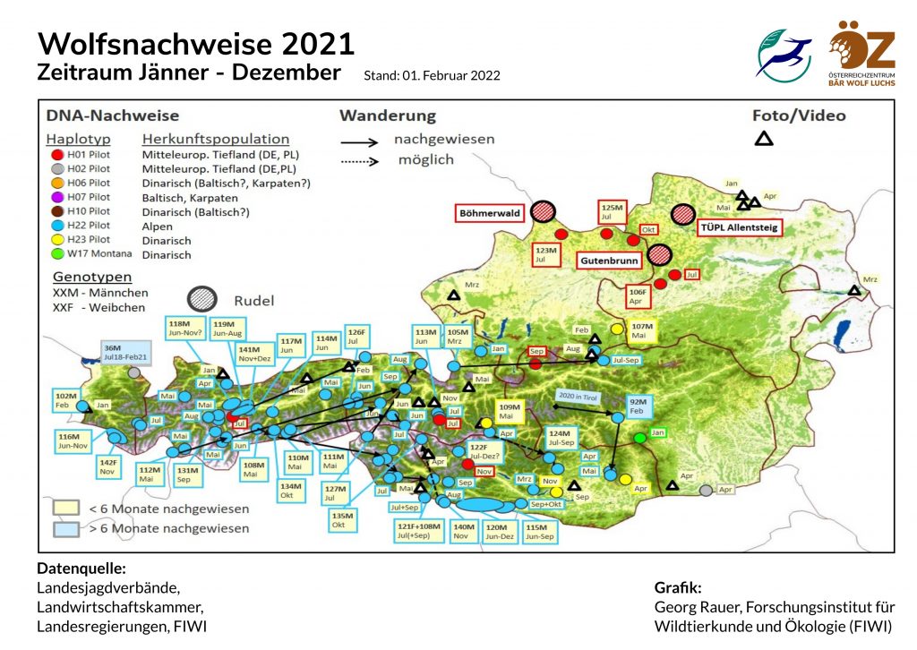 oez_wolfsnachweise_2021-1024x726 Wolf - Verbreitung Österreich